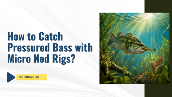micro ned rig