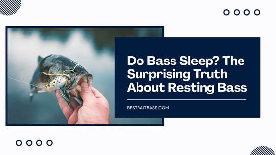 do bass sleep